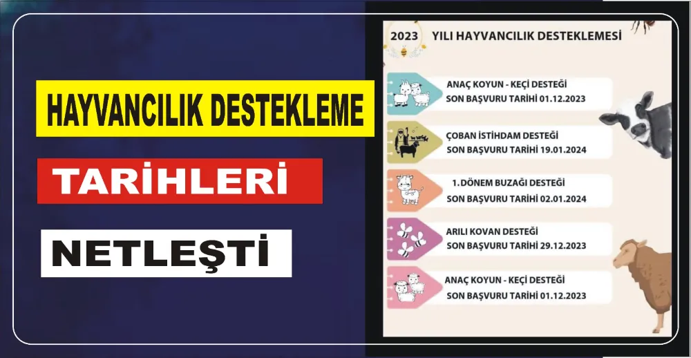 HAYVANCILIK DESTEKLEME TARİHLERİ NETLEŞTİ