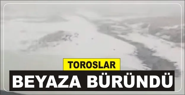 TOROLAR BEYAZA BÜRÜNDÜ