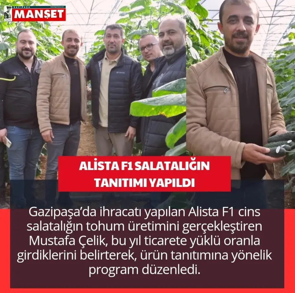 ALİSTA F1 SALATALIĞIN TANITIMI YAPILDI