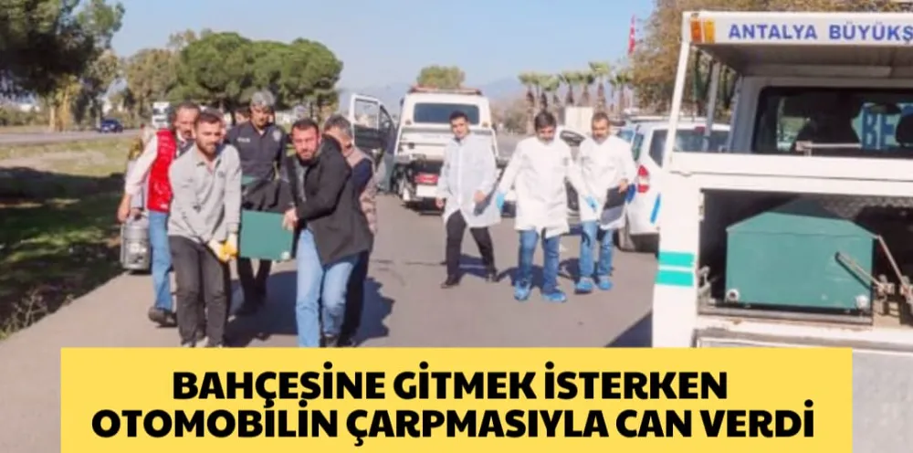 BAHÇESİNE GİTMEK İSTERKEN OTOMOBİLİN ÇARPMASIYLA CAN VERDİ