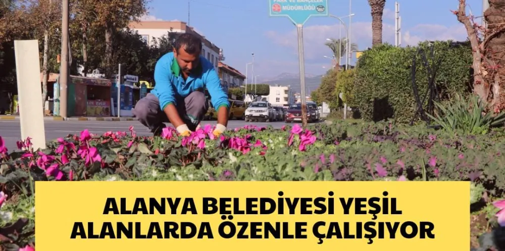 ALANYA BELEDİYESİ YEŞİL ALANLARDA ÖZENLE ÇALIŞIYOR