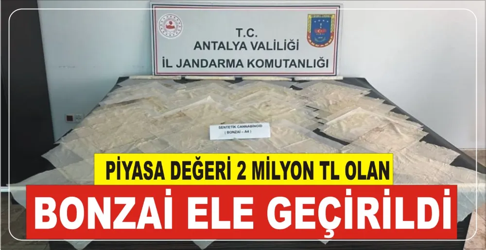 PİYASA DEĞERİ 2 MİLYON TL OLAN BONZAİ ELE GEÇİRİLDİ