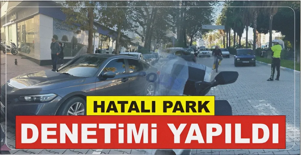 HATALI PARK DENETİMİ YAPILDI