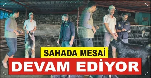 SAHADA MESAİ DEVAM EDİYOR