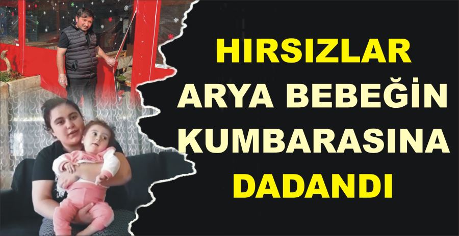 HIRSIZLAR ARYA BEBEĞİN  KUMBARASINA DADANDI