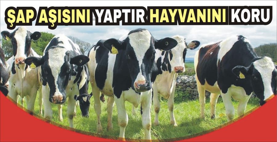 ŞAP AŞISINI YAPTIR HAYVANINI KORU