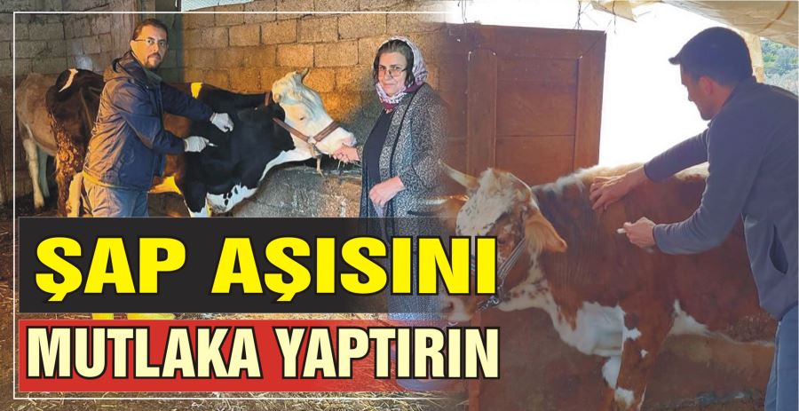 ŞAP AŞISINI MUTLAKA YAPTIRIN 