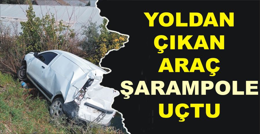 YOLDAN ÇIKAN ARAÇ ŞARAMPOLE UÇTU