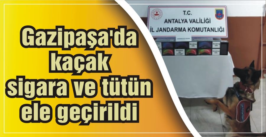 Gazipaşa’da kaçak sigara ve tütün ele geçirildi