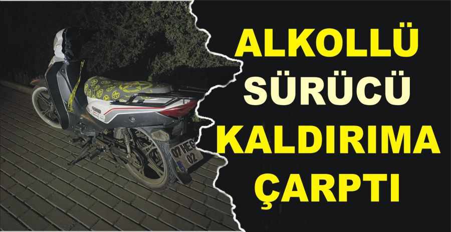 ALKOLLÜ SÜRÜCÜ KALDIRIMA ÇARPTI