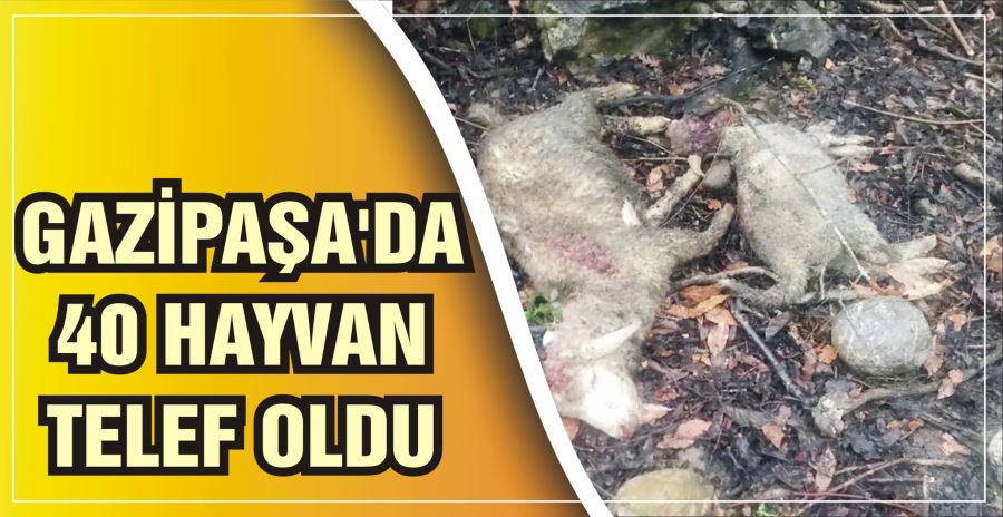 GAZİPAŞA’DA 40 HAYVAN TELEF OLDU