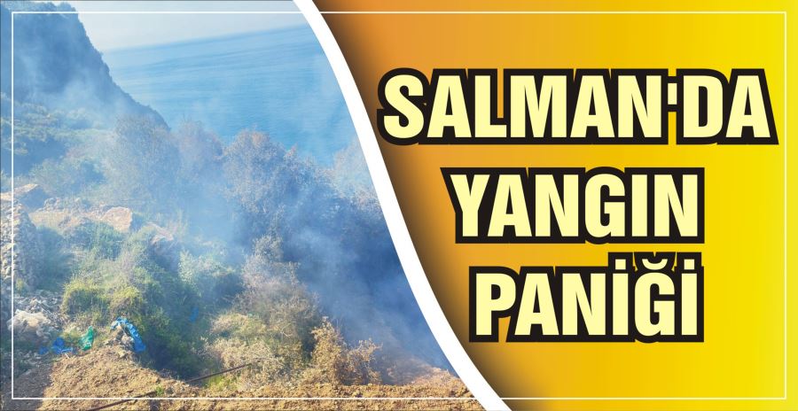 SALMAN’DA YANGIN PANİĞİ 