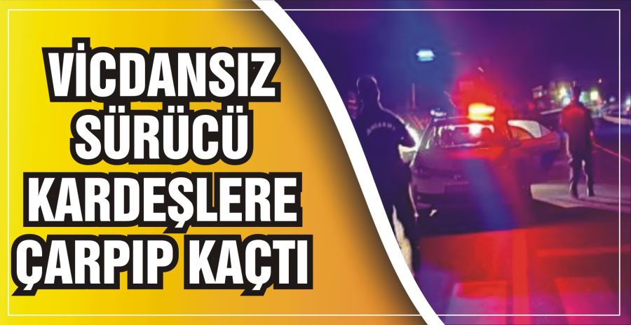 VİCDANSIZ SÜRÜCÜ KARDEŞLERE ÇARPIP KAÇTI