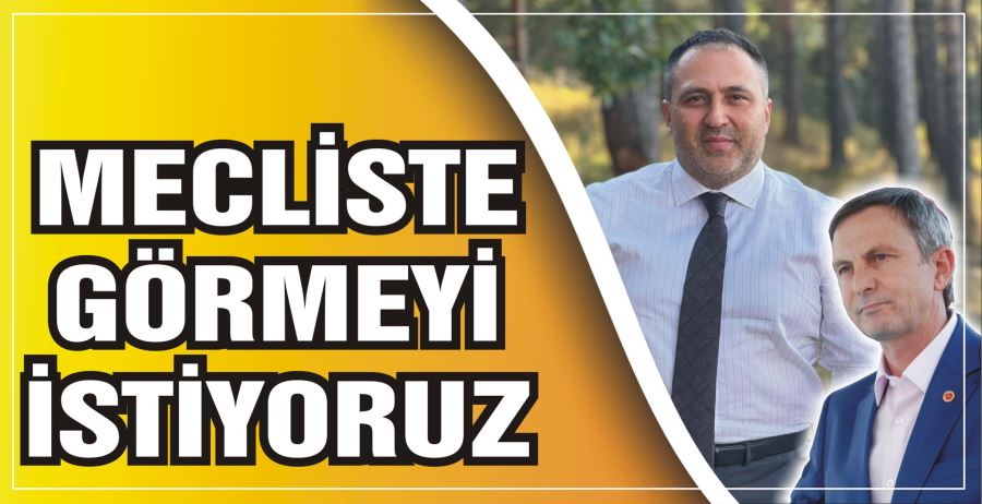 MECLİSTE GÖRMEYİ İSTİYORUZ