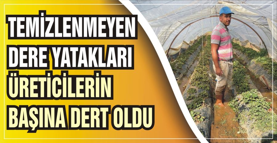 TEMİZLENMEYEN DERE YATAKLARI ÜRETİCİLERİN BAŞINA DERT OLDU