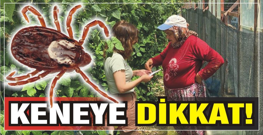 KENEYE DİKKAT!