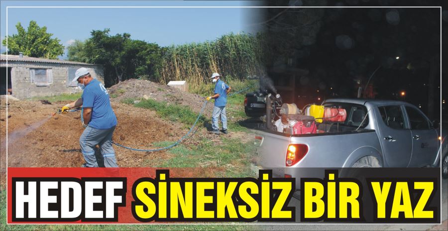 HEDEF SİNEKSİZ BİR YAZ