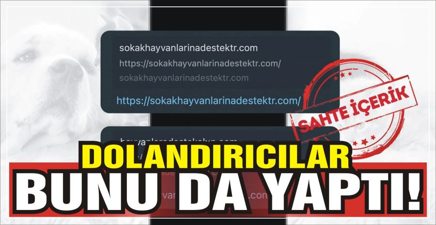 DOLANDIRICILAR BUNU DA YAPTI!