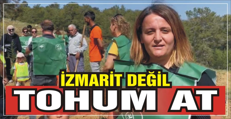 İZMARİT DEĞİL TOHUM AT