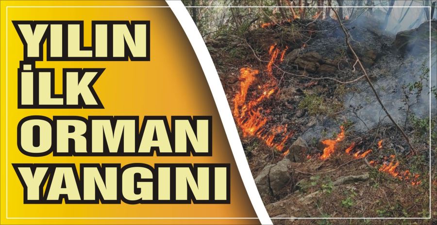 YILIN İLK ORMAN YANGINI 