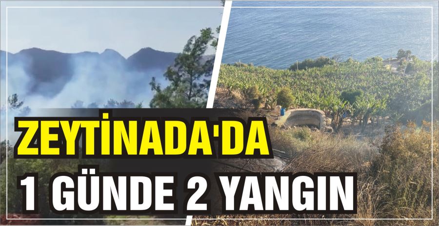 ZEYTİNADA’DA 1 GÜNDE 2 YANGIN 