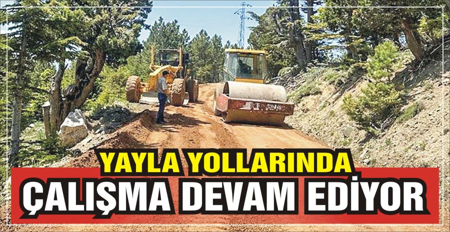 YAYLA YOLLARINDA ÇALIŞMA DEVAM EDİYOR