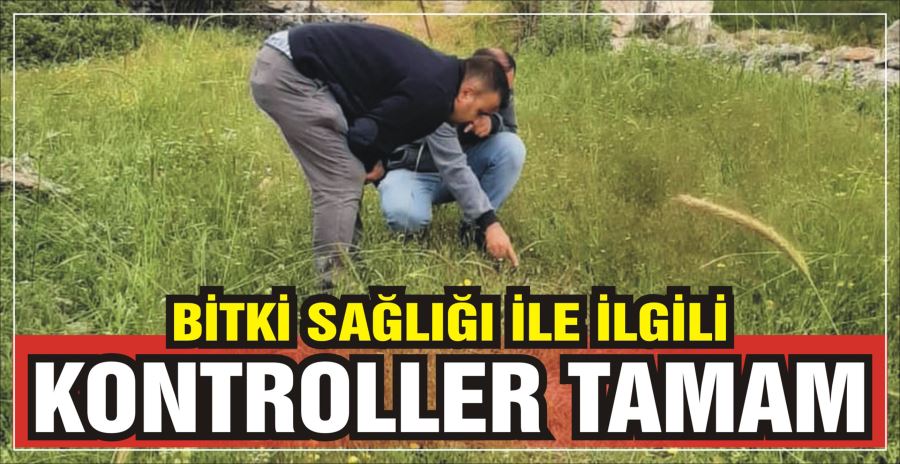 BİTKİ SAĞLIĞI İLE İLGİLİ KONTROLLER TAMAM