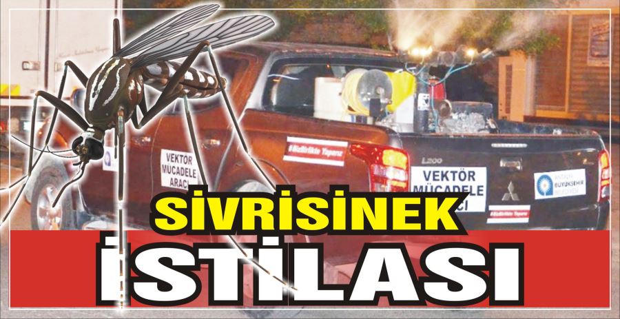 SİVRİSİNEK İSTİLASI