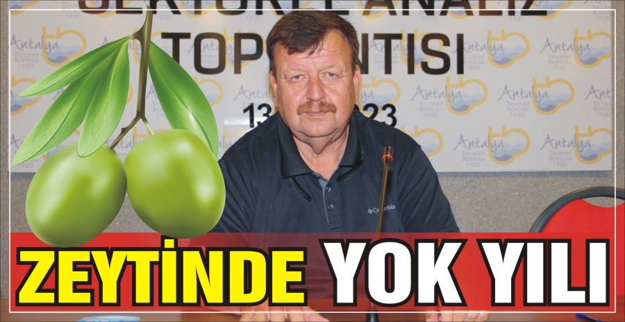 ZEYTİNDE YOK YILI