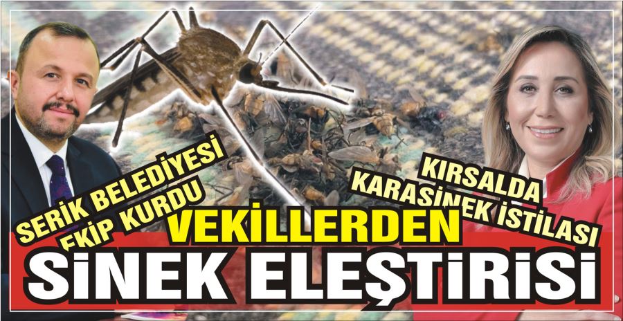 VEKİLLERDEN SİNEK ELEŞTİRİSİ