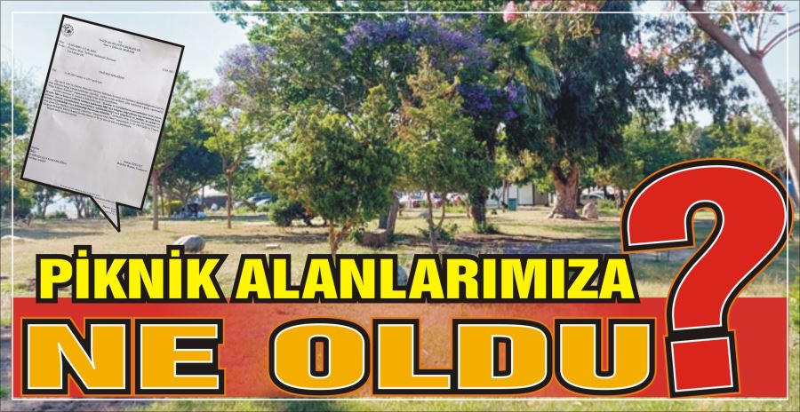 PİKNİK ALANLARIMIZA NE OLDU?