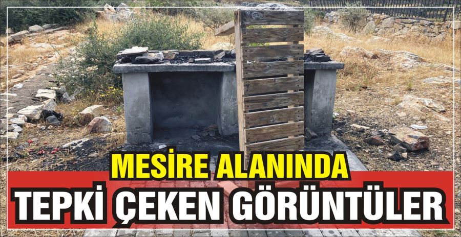 MESİRE ALANINDA TEPKİ ÇEKEN GÖRÜNTÜLER