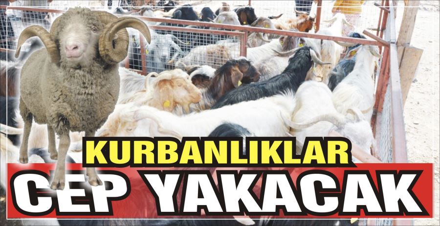 KURBANLIKLAR CEP YAKACAK