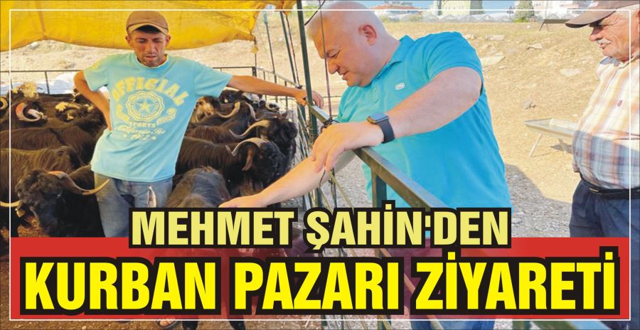 MEHMET ŞAHİN’DEN KURBAN PAZARI ZİYARETİ