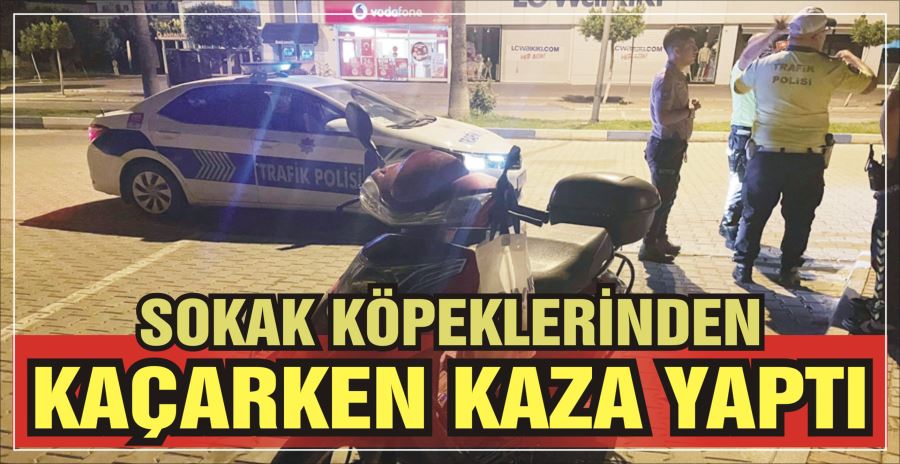 SOKAK KÖPEKLERİNDEN KAÇARKEN KAZA YAPTI