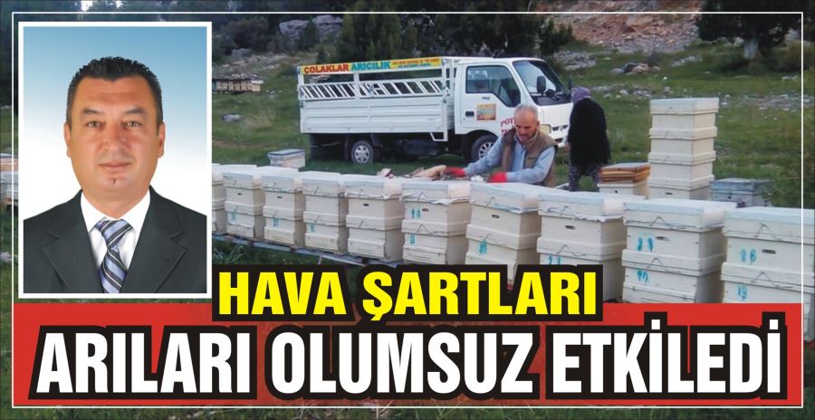 HAVA ŞARTLARI ARILARI OLUMSUZ ETKİLEDİ