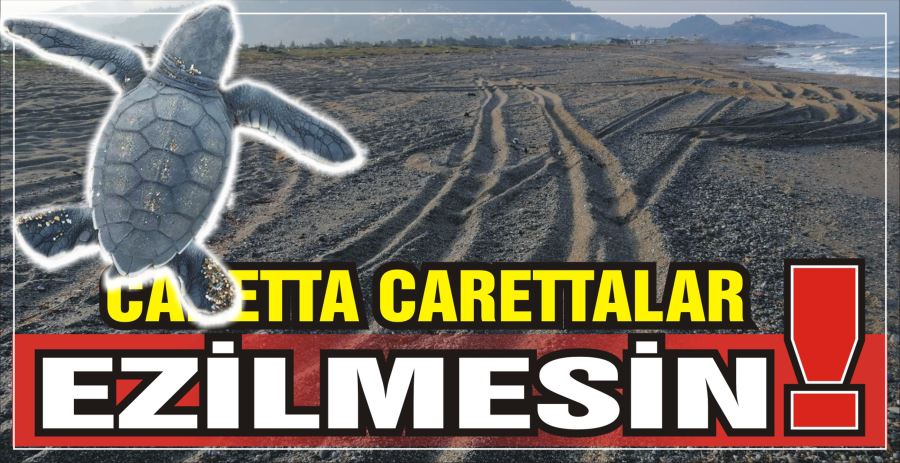 CARETTA CARETTALAR EZİLMESİN!