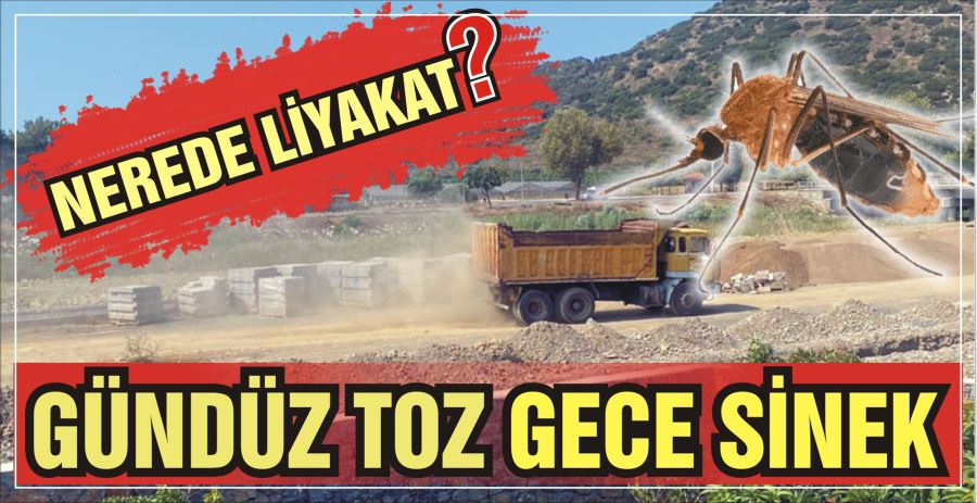 GÜNDÜZ TOZ GECE SİNEK