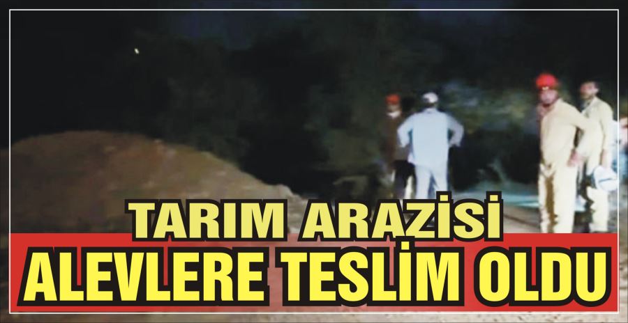 TARIM ARAZİSİ ALEVLERE TESLİM OLDU