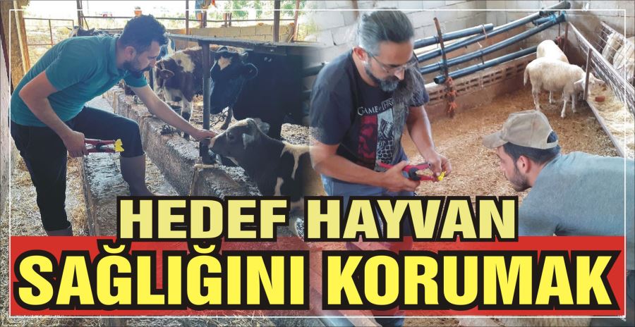 HEDEF HAYVAN SAĞLIĞINI KORUMAK