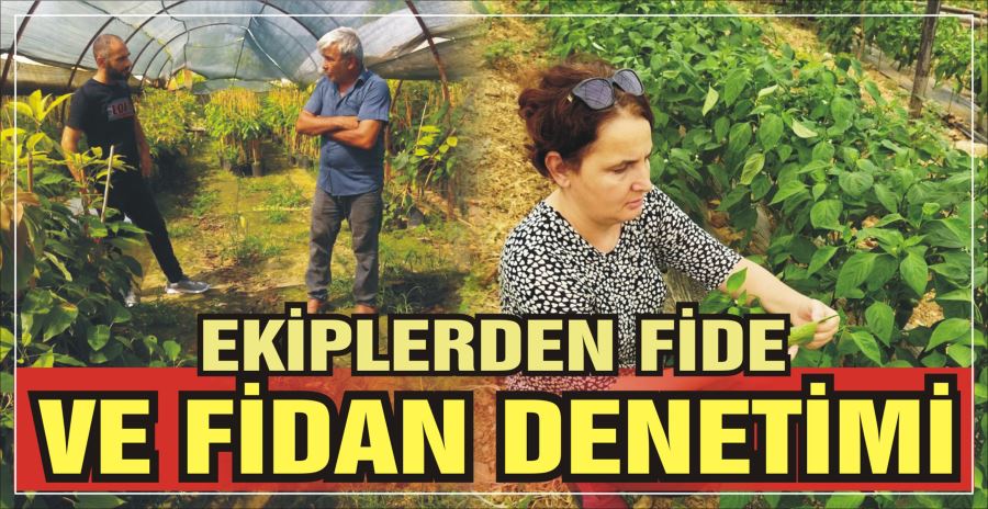 EKİPLERDEN FİDE VE FİDAN DENETİMİ