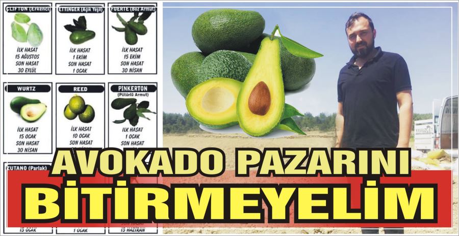 AVOKADO PAZARINI BİTİRMEYELİM