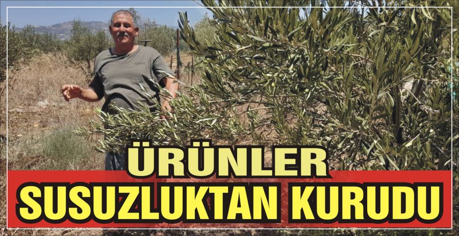 ÜRÜNLER SUSUZLUKTAN KURUDU