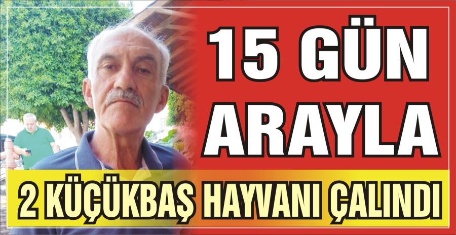 15 GÜN ARAYLA 2 KÜÇÜKBAŞ HAYVANI ÇALINDI