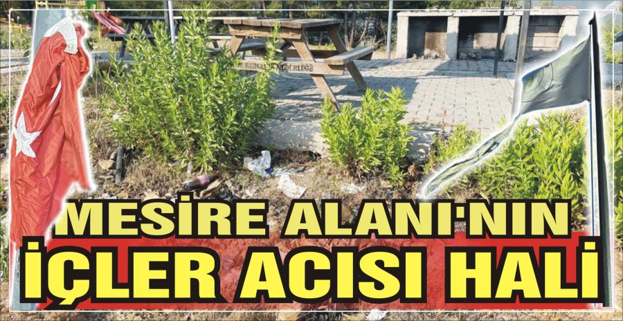 MESİRE ALANI’NIN İÇLER ACISI HALİ