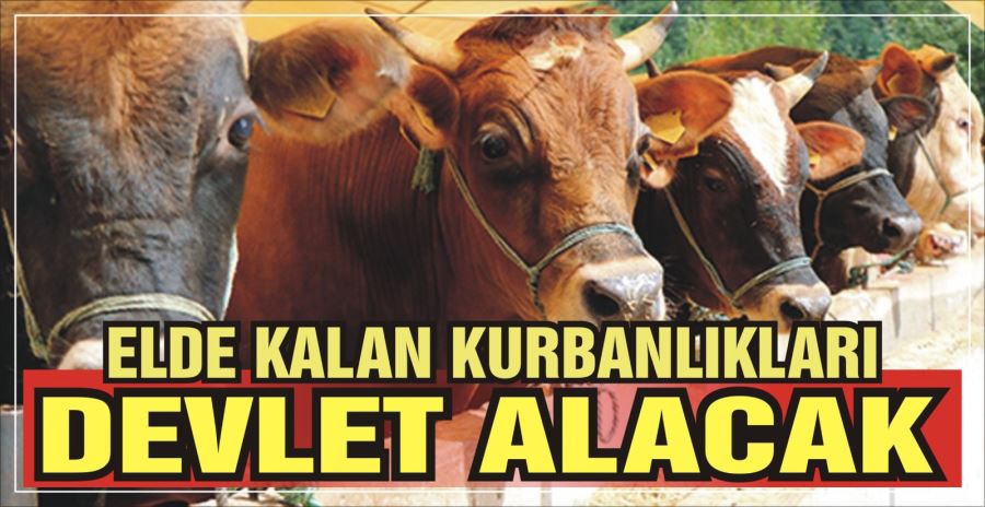 Elde kalan kurbanlıkları devlet alacak