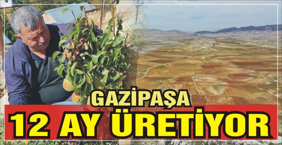 Gazipaşa 12 ay üretiyor