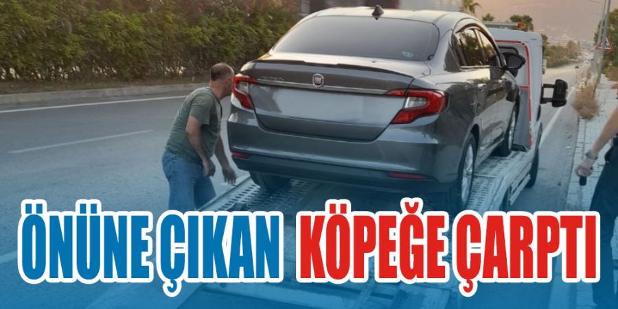 SÜRÜCÜ ÖNÜNE ATLAYAN KÖPEĞE ÇARPTI 