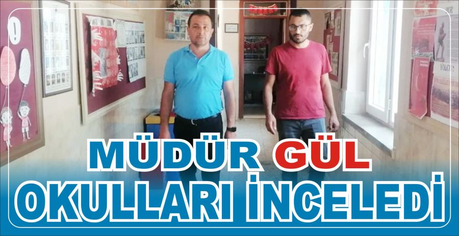 Müdür Gül okulları inceledi