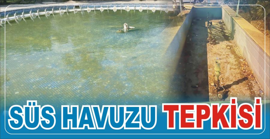 SÜS HAVUZU TEPKİSİ